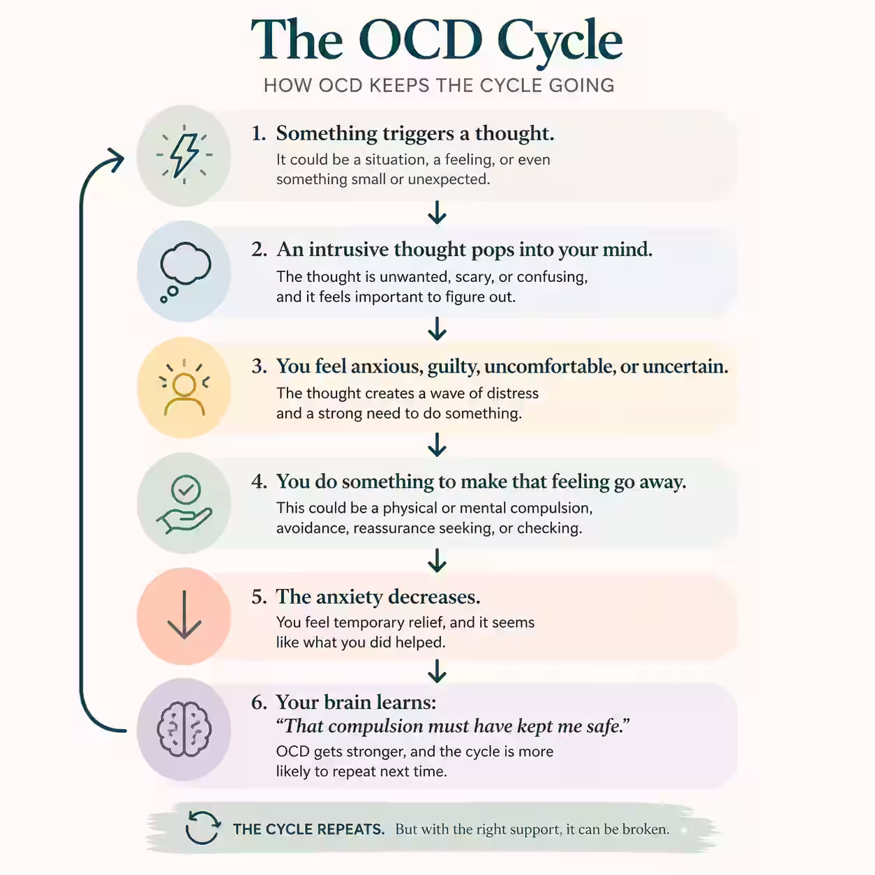The OCD Cycle infographic